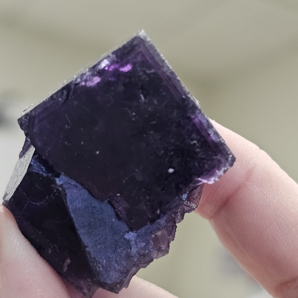 Purple Fluorite With Petroleum Muzquiz Mexico